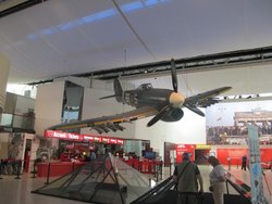 IMG_3526.jpg