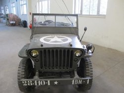 IMG_2870.jpg