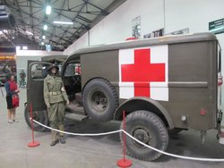 IMG_2884.jpg