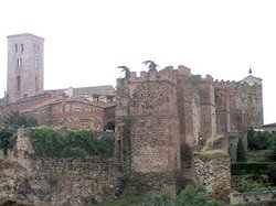 os propon.jpg