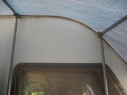 IMG_5238.jpg