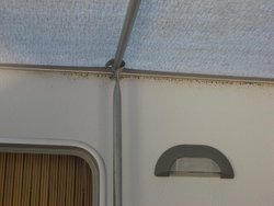 IMG_5250.jpg
