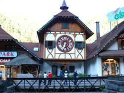 478.jpg