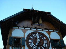 481.jpg