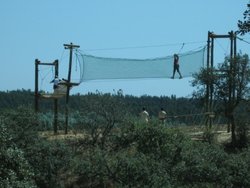IMG_4773.jpg