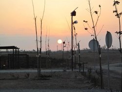 IMG_1395.jpg
