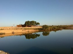 pantano.jpg