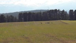 20170201_132508.jpg