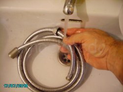 Angelatedo (12).jpg