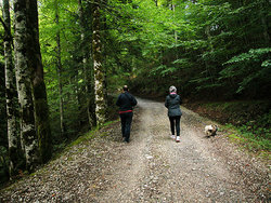 DSCN4610c.jpg