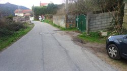 DSC_0391.jpg