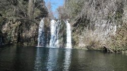 IMG_20170226_114429.jpg