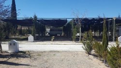 IMG-20170310-WA0004.jpg