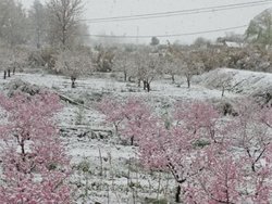 IMG-20170313-WA0022.jpg