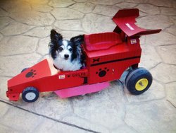 Golfo Perrari.jpg