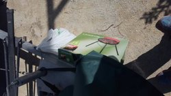 IMG-20170318-WA0005.jpg