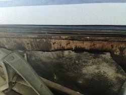 IMG_20170331_171926.jpg