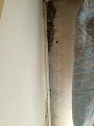 IMG_20170331_171415.jpg