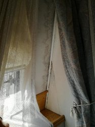 IMG_20170331_171339.jpg