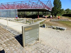 P1040089 (2).jpg