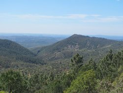 IMG_5268.jpg