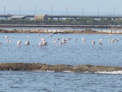 IMG_5295.jpg