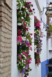 DSC_0135.jpg DSC_0135.jpg