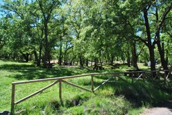 DSC_0171.jpg DSC_0171.jpg