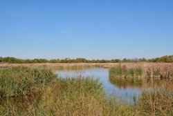 DSC_0264.jpg