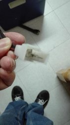 IMG_20170509_155733.jpg