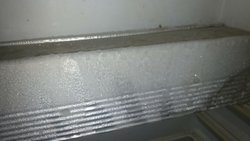 DSC_0511.jpg