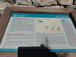 IMG_20170514_113621.jpg