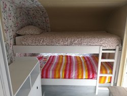 IMG_20170509_145911.jpg