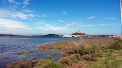 20170511_171828.jpg