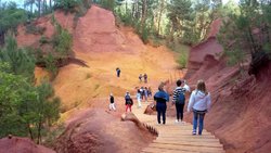 20170504_160512.jpg