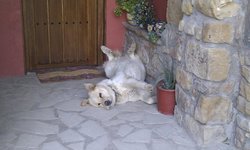 IMAG0295.jpg