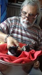 IMG-20170522-WA0004.jpg IMG-20170522-WA0004.jpg