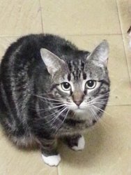 20131121_002259.jpg