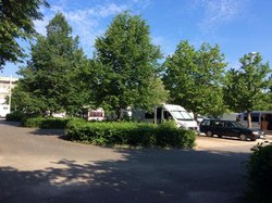 IMG_2917.jpg