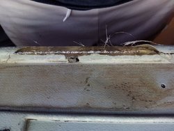 IMG_20170616_210118[1].jpg