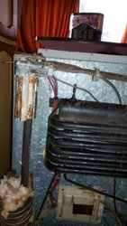 IMG-20170620-WA0009.jpg IMG-20170620-WA0009.jpg