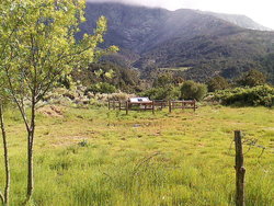 P140516_10.16_[01].jpg