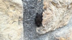 IMG_20170624_161118_1.jpg