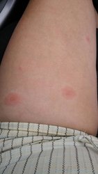 IMG-20170709-WA0001.jpg