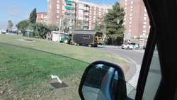 IMG_20170727_092058.jpg