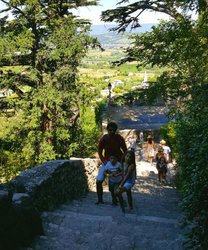 Bonnieux.jpg