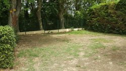 Carcass parc.jpg