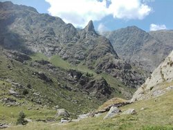 IMG_20170728_150310.jpg