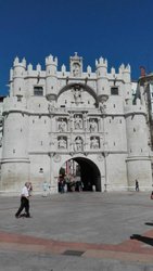 IMG_20170802_113029.jpg