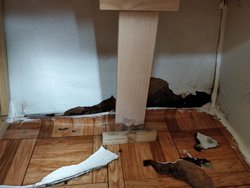 IMG_20170815_162246.jpg